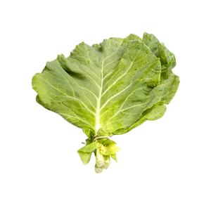 Venta caliente de alta calidad 100% Pure Bulk Organic Freeze-dried <span class=keywords><strong>Collard</strong></span> Greens para la exportación - Product Image 6