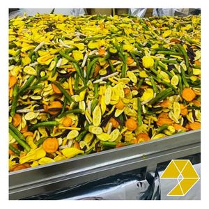 Mezcla de Frutas y Verduras Secas en Rodajas, Snack Crujiente Natural, Proveedor de Vietnam, Venta al por Mayor, Calidad Premium para Exportación - Product Image 3