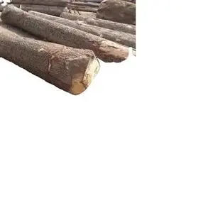 Matériau en bois naturel à bon usage Tabourets hinoki japonais cyprès Bois de chêne Bois/Bois/Grumes en vrac Prix bon marché