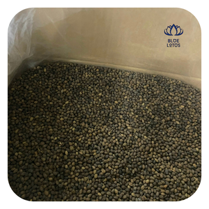 เมล็ดมะละกอแห้งผลิตภัณฑ์เมล็ดพันธุ์ผลไม้เมืองร้อนจากธรรมชาติ - Product Image 1
