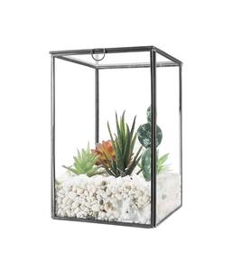 ภาชนะแก้วคริสตัลสำหรับปลูกต้นไม้แบบเทอร์ราเรียม ดีไซน์สวยงาม ใส โดดเด่น เหมาะสำหรับปลูกไม้อากาศและตกแต่งอย่างมีสไตล์ ราคาดีที่สุด - Product Image 1