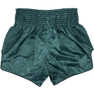 Mens Workout Shorts Lightweight Activewear Shorts for Training Running Fitness and Outdoor Activities - Product Image 5