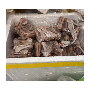 Cucharas de Té Hechas a Mano con Conchas Marinas, Mango Corto, Diseño de Lujo, Duraderas, Ecológicas, No Tóxicas, Capacidad de 10 ml, para Servir Postres - Product Image 4