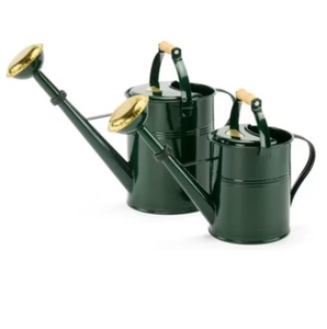 Top Quality Household <b>Garden</b> Ware and Plant Decoration Water Can White Finishing Metal Watering Can <b>Garden</b> Daily Use - Product Image 2