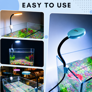 Luz LED para Acuario N6-NEO, Fabricante Directo, OEM, ODM, Logotipo Personalizado, Iluminación para Peceras - Product Image 5