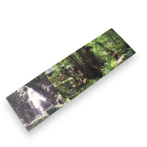 บรรจุภัณฑ์ดิจิแพ็คซีดีแบบ 6 แผง 1 ช่อง พร้อมพิมพ์หนังสือเล่มเล็ก - Product Image 3