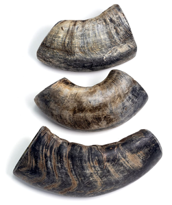 Nouveau style de friandises pour chiens en corne de buffle naturelle 100% faites à la main, de luxe, au meilleur prix, pour chiens et chats, prix de gros - Product Image 1