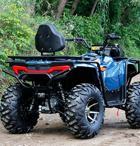 400CC Raptor 4-Takt Benzin ATV Quad Umschaltbar 2WD/4WD 4WD Allrad-Geländefahrzeug Off-Road Dune Buggy mit Differentialsperre - Product Image 4
