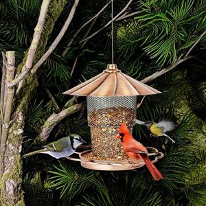 Mangeoire à oiseaux pour jardin avec couvercle pour attirer les oiseaux chanteurs et autres créatures ailées - Product Image 5