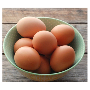 ไข่ไก่สดคุณภาพสูงสำหรับขาย ไข่ไก่จากฟาร์ม ผู้จำหน่ายไข่ไก่ ขายส่ง - Product Image 3