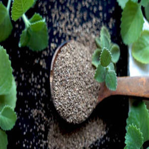 Graines d'Ajwain indiennes séchées naturellement aromatiques (granulés) Durée de conservation de 24 mois pour les fabricants de produits alimentaires, les grossistes en épices, en vrac - Product Image 4