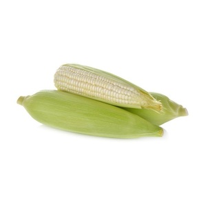 Maíz Blanco 100% Natural de Calidad para Consumo Humano y Alimentación Animal, Empaque Personalizado de Alta Calidad OEM - Product Image 3