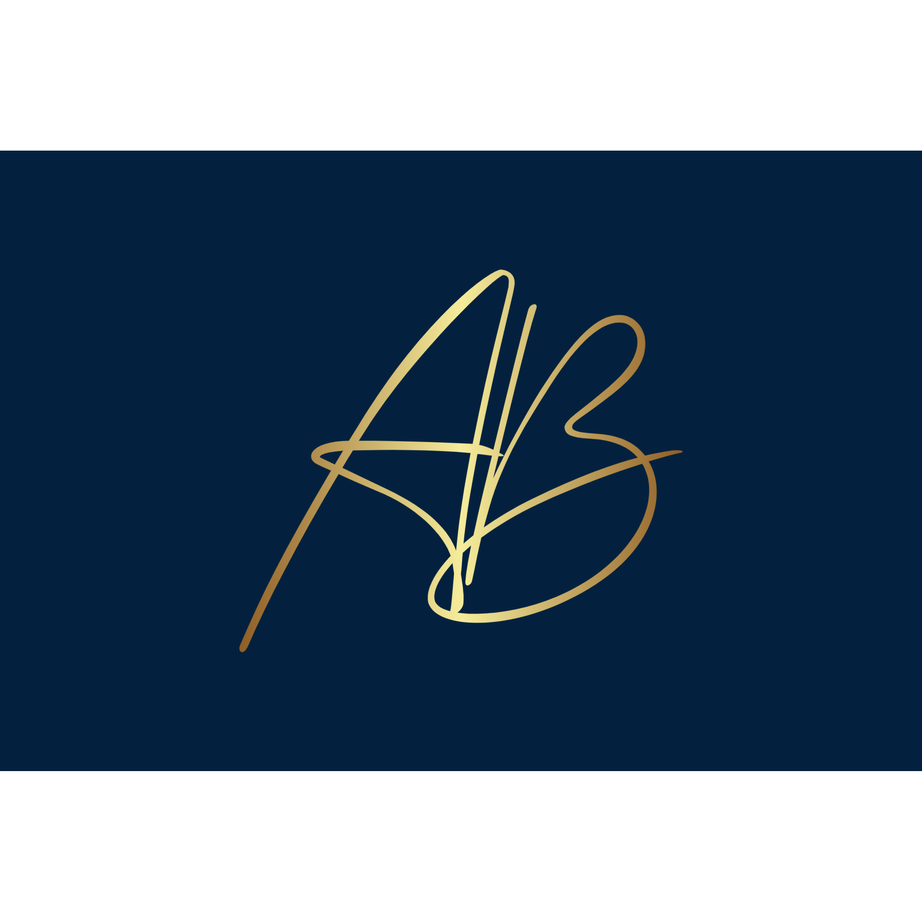 AB Im- und Export A. Beringer & Co. GmbH logo