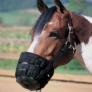 Bozal Premium para Caballos para Control de Pastoreo y Gestión Segura de la Alimentación en Áreas - Product Image 1