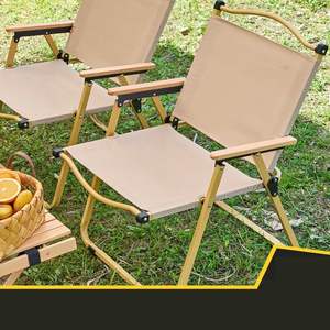 Silla de Jardín Plegable Moderna y Ecológica, Asiento de Mimbre, Estructura de Acero Negro, Reposabrazos de Madera, Diseño Minimalista - Product Image 6
