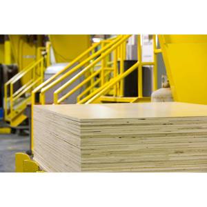Commercial Grade UV-Coated Plywood With Reliable Load Bearing Capacity And <b>Scratch</b>-Resistant Surface - Product Image 4