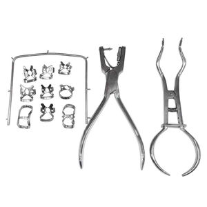 Instrumentos Dentales de Acero Inoxidable Personalizados de Venta Caliente, Limas Rotatorias Manuales con Certificación CE para Uso Endodóntico - Product Image 6