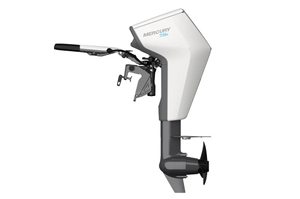 MEILLEURE OFFRE 2026 Moteur Hors-Bord Électrique 4,7,5 CV Corps en Plastique Blanc avec Hélice Noire Commande par Tiller Écran LCD - Product Image 5