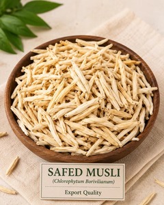Muesli Crudo Blanco Premium |   Hierba Ayurvédica Natural para Suplementos de Bienestar, Nutracéuticos, Suministro a Granel y Exportación Global - Product Image 4
