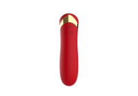 Masseur vibrant pour les lèvres