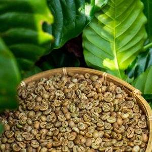 Premium Green <b>Coffee</b> Beans Arabica & Robusta 100% Natural Quality Unroasted <b>Coffee</b> for Export OEM/ODM From VietNam Wholesale - Product Image 6