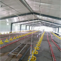 Structure en acier préfabriquée QCF199, cadre métallique en acier galvanisé, équipement agricole, hangar d'alimentation pour vaches, poulailler, enclos à poulets