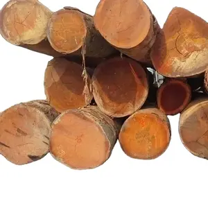 Troncos de madera de calidad Madera de teca/Troncos de madera de roble/Troncos de eucalipto Madera de teca-Troncos redondos, Troncos de madera aserrada