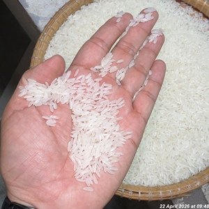 ข้าวขาวจัสมิน |   29/5/2026 10:30 น. |   179/26 - Product Image 6