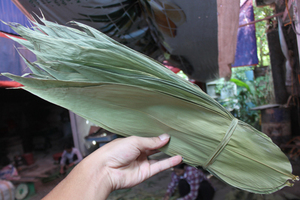 Feuilles de bambou séchées Feuilles entières de bambou gris séchées du Vietnam à bas prix/Ms.Laura + 84 896611913 - Product Image 6