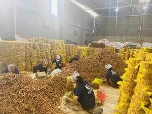 เวียดนามผู้ส่งออกบุหรี่ติด CASSIA/อบเชยที่มีคุณภาพที่ดีที่สุด95% กลิ้ง (มือถือ /Wa: + 84986778999เดวิด) - Product Image 4