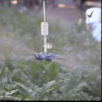 Connecteur de tuyau d'irrigation goutte à goutte à quatre voies, en plastique blanc, pour arrosage agricole, jardin, serre