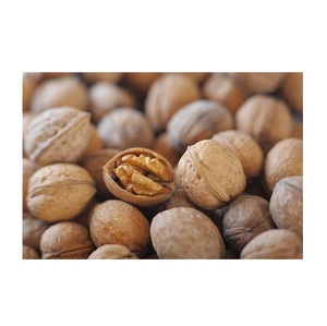 Noyaux de noix naturels séchés de qualité supérieure biologique, fournisseur en gros avec une durée de conservation de 24 mois et emballage personnalisé - Product Image 3