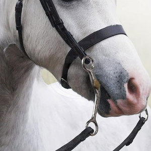Mors d'entraînement pour chevaux en acier inoxydable de qualité supérieure avec design de type mors de frein pour l'équitation quotidienne - Product Image 6