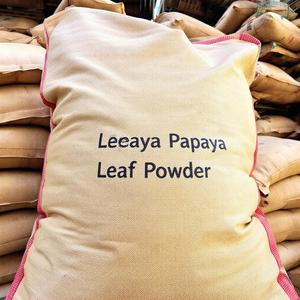 Polvo de Hoja de Papaya - Product Image 4
