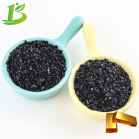 Charbon actif pour l'extraction de l'or à haut rendement, 8*20 Mesh, pureté 99,9%, marque Boyue