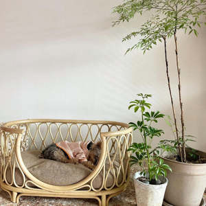 Cama Sofá Ovalada Grande de Ratán para Perros, Estructura de Mimbre Natural con Cojines Decorativos, Muebles de Lujo para Mascotas de Interior y Exterior - Product Image 3