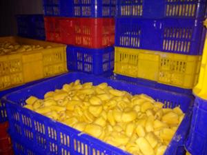 Jackfruit vert surgelé industriel |   Substitut de viande naturel pour les marques végétaliennes |   Source durable - Product Image 4