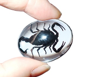 Scorpion noir, spécimen réel, cabochon en plastique ovale 30x40 mm, fond plat transparent pour l'artisanat et la fabrication de bijoux - Product Image 3