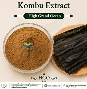 Suministro Directo de Fábrica HGO de Extracto Puro Natural de Kombu Grado Alimenticio, Extracto en Polvo Marino con Proporciones 4:1, 5:1, 10:1, 20:1, 100:1, 200:1 - Product Image 1