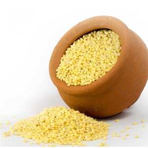 Millet Proso Indien 100% Naturel de Qualité Supérieure, Céréale Intégrale, Superaliment Riche en Minéraux Essentiels et Vitamines, Approvisionnement Direct en Gros de l'Usine - Product Image 1