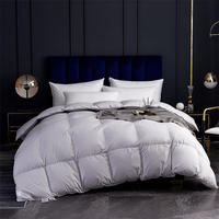 Couette d'hôtel de luxe personnalisée en microfibre de coton blanc, taille Queen et King, pour lit – Vente en gros
