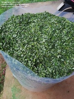 Ekstrak bubuk Herbal daun Moringa untuk teh dan minuman grosir daun Moringa kering tas OEM kemasan jumlah besar
