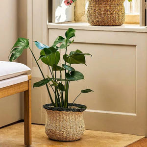 กระถางต้นไม้ตกแต่งทำมือจากหญ้าทะเล ตะกร้าปลูกต้นไม้ทันสมัย สำหรับตกแต่งภายในห้องนั่งเล่น ระเบียง และบ้าน - Product Image 3