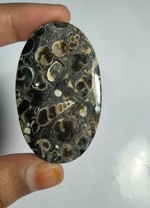 Lote al por mayor de cabujones de ágata TURRITELLA por peso con diferentes formas y tamaños utilizados para la fabricación de joyas, piedra TURRITELLA - Product Image 3