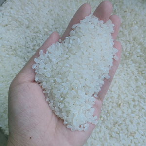 ข้าวญี่ปุ่นทรงกลมยอดนิยมสำหรับซูชิและอาหารเอเชีย ข้าวเม็ดมุกหัก 5% ข้าวแห้งมาตรฐานเวียดนามสำหรับส่งออก แบรนด์ระดับโลก II - Product Image 1