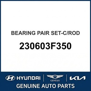 Rodamientos de Motor Nuevos Equus 230603F350 - Product Image 1