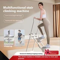 Mini Stepper d'escalier pour exercice de gymnastique à domicile Machine verticale de grimpeur pour l'entraînement complet du corps Compact pliant Cardio grimpeur d'exercice