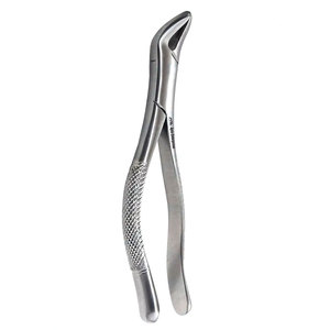 Surgical Extraction Forceps Factory Direct Prices Surgical Instruments Custom Logo Dental Root Extracting Elevators - Product Image 1