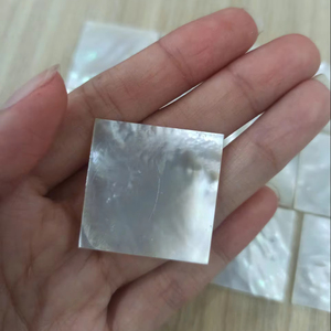 Pièces de nacre brillantes pour applications décoratives - Product Image 1