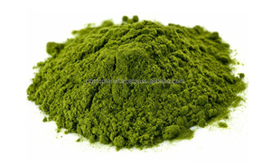 Extracto de Espinaca en Polvo de Brasil - Product Image 1